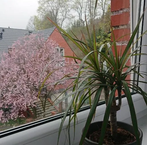 Apartament Pod Semaforem Duszniki-Zdroj