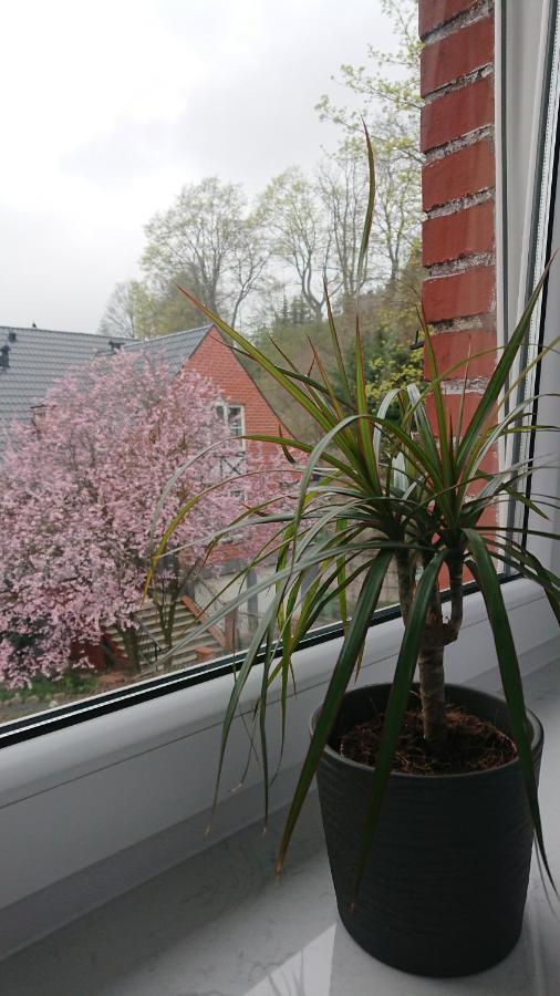 Pod Semaforem Duszniki-zdroj Apartment Duszniki Zdroj